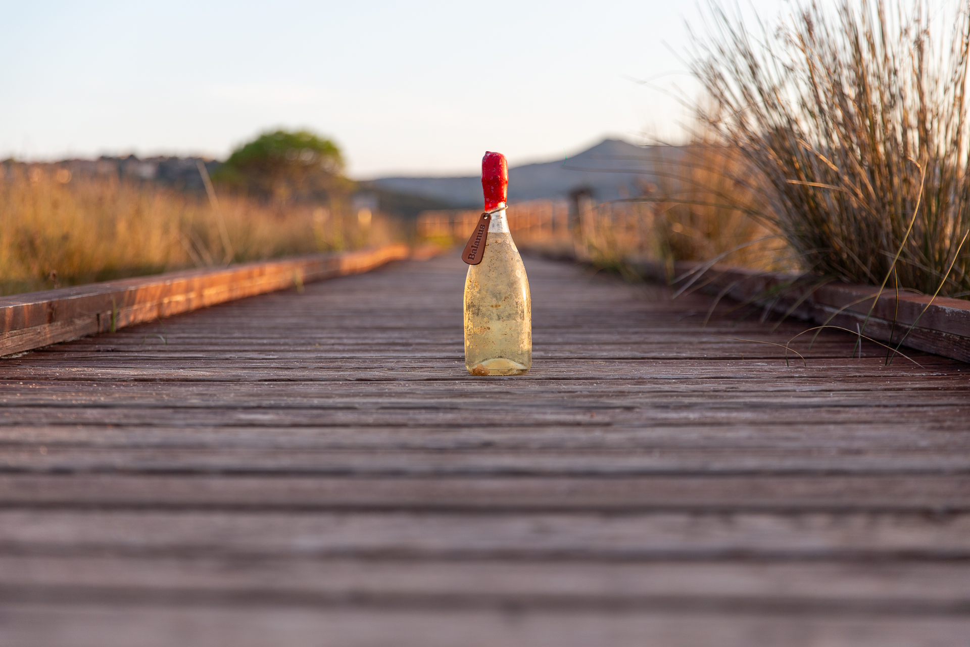 Bottiglia Balanus su ponte